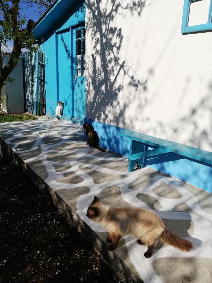 Casa Bunicilor Granny'S House Villa Юриловка Екстериор снимка