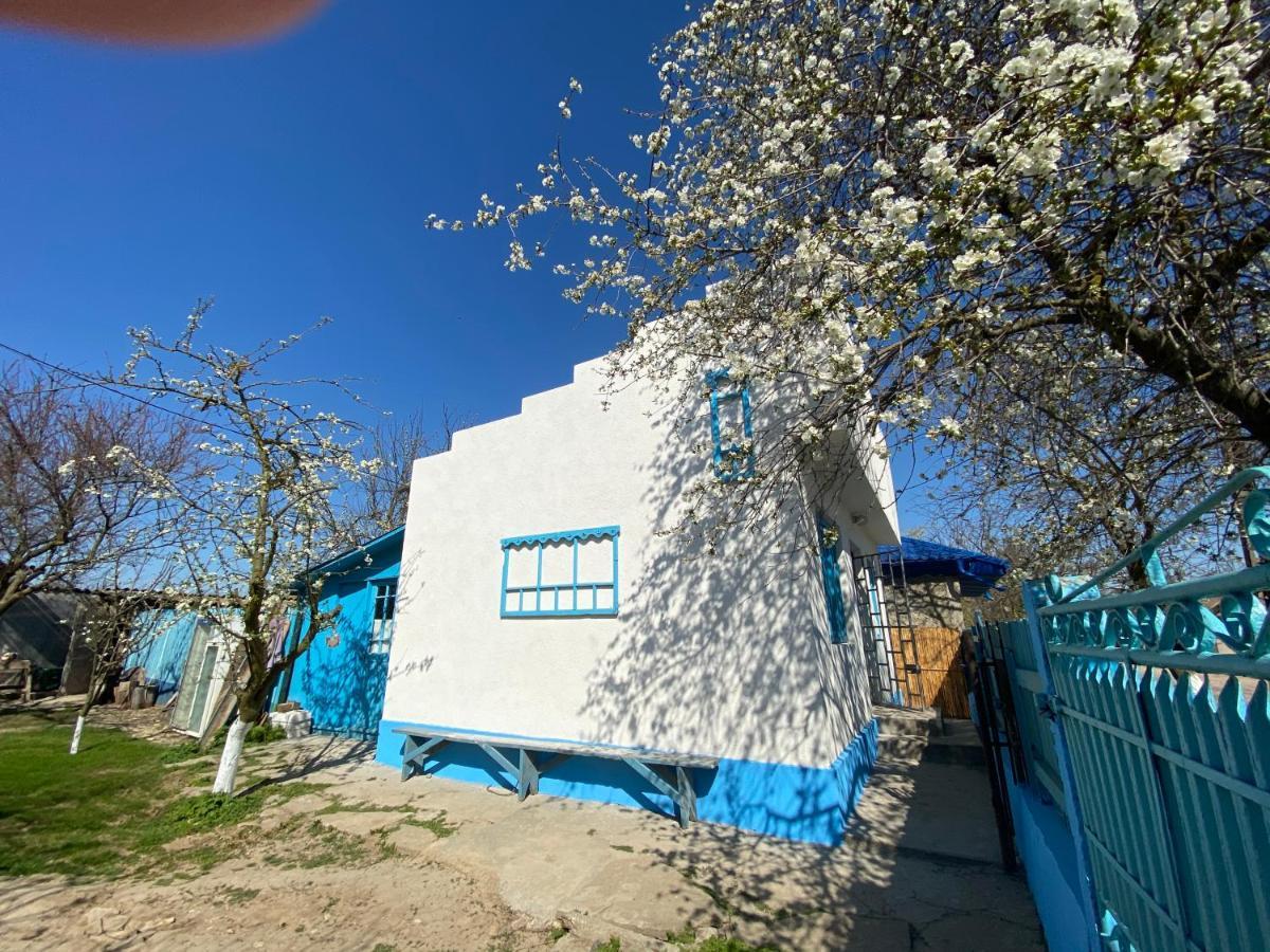 Casa Bunicilor Granny'S House Villa Юриловка Екстериор снимка