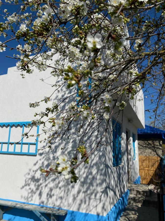 Casa Bunicilor Granny'S House Villa Юриловка Екстериор снимка