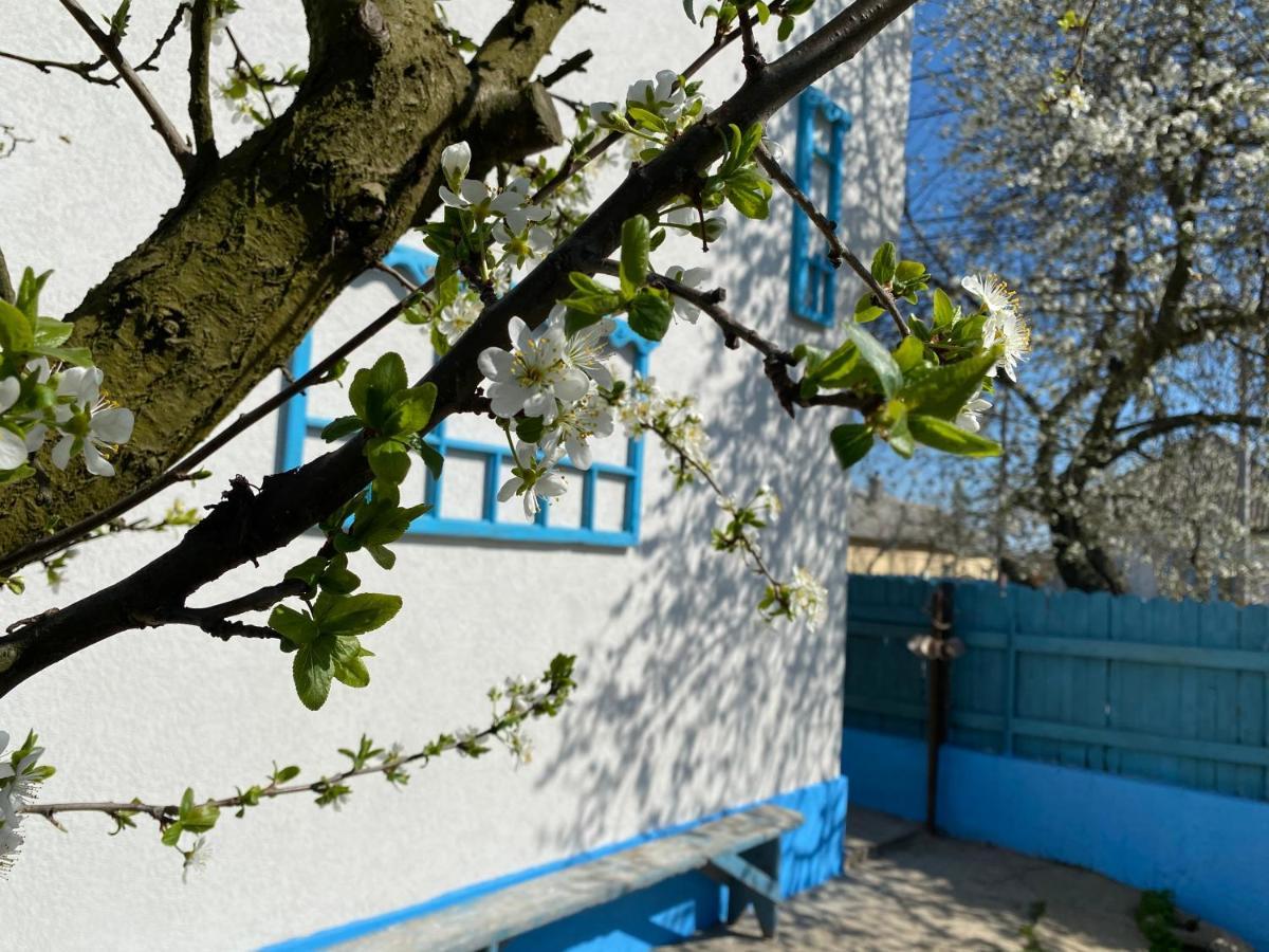 Casa Bunicilor Granny'S House Villa Юриловка Екстериор снимка