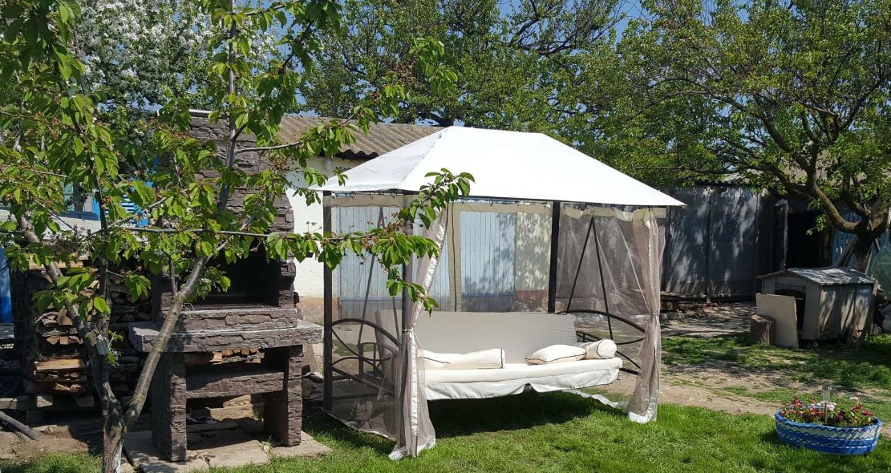 Casa Bunicilor Granny'S House Villa Юриловка Екстериор снимка