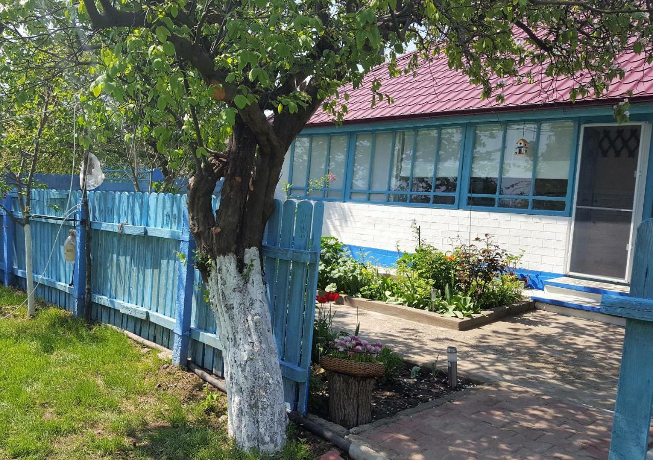 Casa Bunicilor Granny'S House Villa Юриловка Екстериор снимка