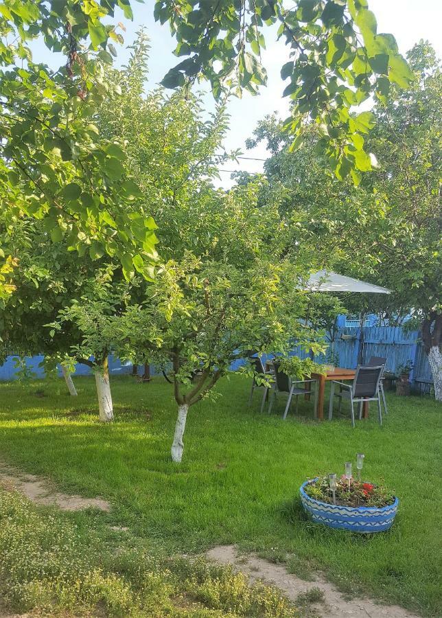 Casa Bunicilor Granny'S House Villa Юриловка Екстериор снимка