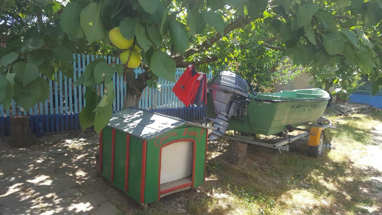 Casa Bunicilor Granny'S House Villa Юриловка Екстериор снимка